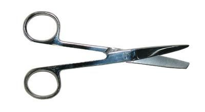 Stainless Steel Scissors