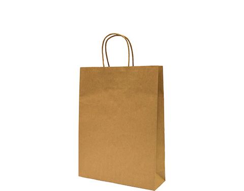 BAGBS Small Paper Takeaway Bag Twisted Paper Handle ea