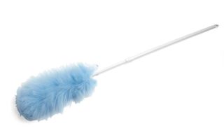 AD15821 BunzI Oates Lambs Wool Duster - Extend Handle