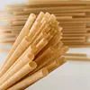 EC-ST6  Sugarcane Straw Unwrapped 6mm x 210mm Long 100 per pk