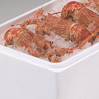 Polystyrene Standard Cray Box & Lid 28 Ltr