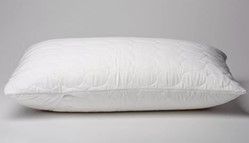 Dreamticket Quilted Pillow Protector - Envelope