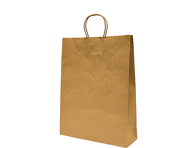 MPM Medium Paper Takeaway Bag Twisted Paper Handle ea