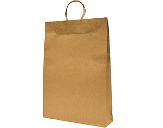 MPM Large Paper Takeaway Bag Twisted Paper Handle ea