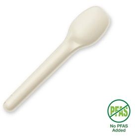 Biopak 11cm Plant Fibre Teaspoon 50 units per slve