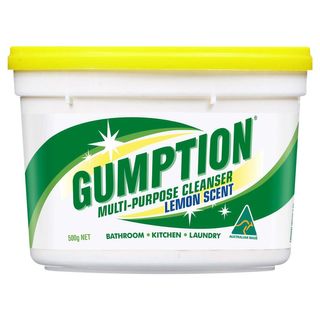 GUMPTION PASTE 500GM