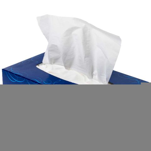 CAPRICE ULTRASOFT FACIAL TISSUE 2PLY 100 48PK/CTN