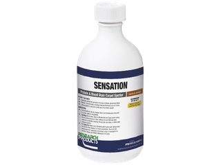 OATES 165188 SENSATION CARPSPOT 500ML