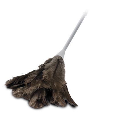 Oates Feather Duster