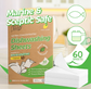 ECO BASICS DISHWASHING SHEETS - 60 PACK