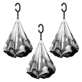Outside-In Inverted Paris; Pack of 3