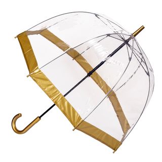 Biodegradable Clear PVC Birdcage with Gold Border