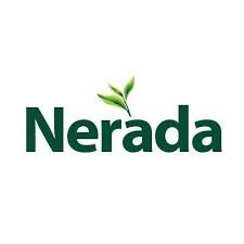 NERADA TEA BAGS 100S