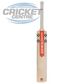 GRAY-NICOLLS EVO E TWO ENGLISH WILLOW CRICKET BAT WITH GN 'PLAY NOW'