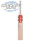 GRAY-NICOLLS EVO E ONE ENGLISH WILLOW CRICKET BAT WITH GN 'PLAY NOW'