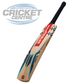 GRAY-NICOLLS VAPOUR 950 ENGLISH WILLOW CRICKET BAT WITH GN 'PLAY NOW'