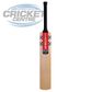 GRAY-NICOLLS VAPOUR 950 ENGLISH WILLOW CRICKET BAT WITH GN 'PLAY NOW'