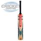 GRAY-NICOLLS VAPOUR 750 ENGLISH WILLOW CRICKET BAT WITH GN 'PLAY NOW'