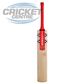 GRAY-NICOLLS ASTRO 650 ENGLISH WILLOW CRICKET BAT WITH PLAY NOW