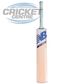 NEW BALANCE GC 500 CRICKET BAT