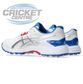 ASICS GEL GULLY 7 WHITE/SILVER SPIKE