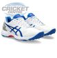 ASICS 350 NOT OUT FF WHITE/TUNA CRICKET SPIKE