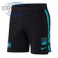 BBL13 BRISBANE HEAT TRAINING SHORTS