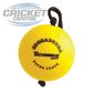 KOOKABURRA SUPER COACH TECHNIQUE CRICKET BALL ON A STRING