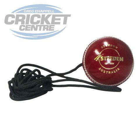 STEEDEN HARD LEATHER CRICKET TRAINING BALL ON A STRING