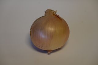 ONIONS LOOSE- NEW SEASON