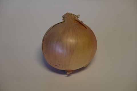 ONIONS LOOSE- NEW SEASON