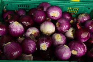 RED ONIONS 14KG