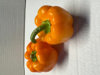 CAPSICUM - ORANGE KG LOCALLY GROWN