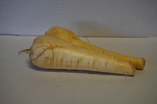PARSNIP  -  FIRST GRADE QUALITY LOCAL