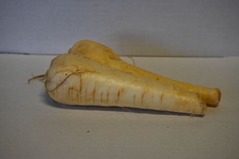 PARSNIP  -  FIRST GRADE QUALITY LOCAL