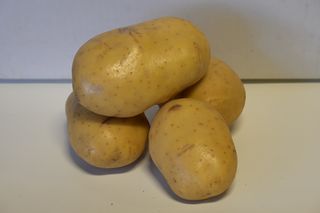 POTATO AGRIA WASHED SOUTHLAND GRADED 15KG