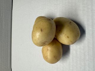 POTATO GOURMET - RANDOM WEIGHT