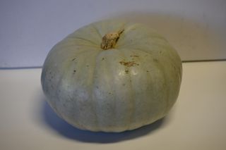 PUMPKIN GREY WHOLE - LOCALLY GROWN