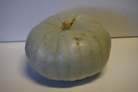 PUMPKIN GREY WHOLE - LOCALLY GROWN