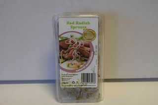 SANGO SPROUTS PUNNETS ( RED RADISH)