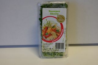 SNOWPEA SHOOTS PUNNET
