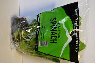 SPINACH BUNCH - HYDRO