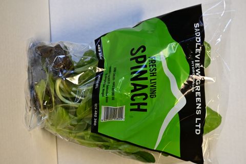SPINACH BUNCH - HYDRO