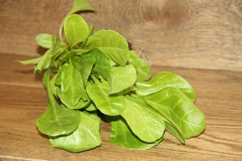 SPINACH BABY LEAVES  -500GM BAG