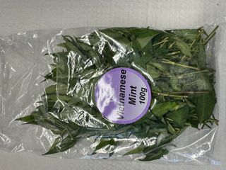 VIETNAMESE MINT HERB