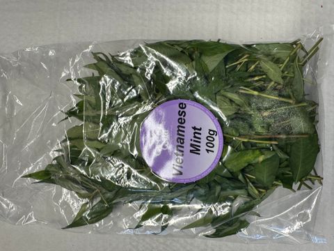 VIETNAMESE MINT HERB