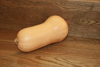 PUMPKIN BUTTERNUT - NZ