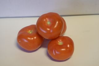 TOMATOES NEW ZEALAND