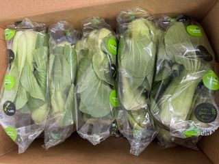 BOK CHO SHANGHAI -I 15 COUNT CRATE