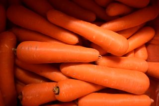 CARROT ORANGE  LOOSE -20 KG CARTON
